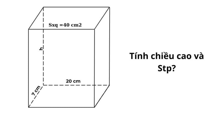 dien-tich-hinh-hop-chu-nhat-6