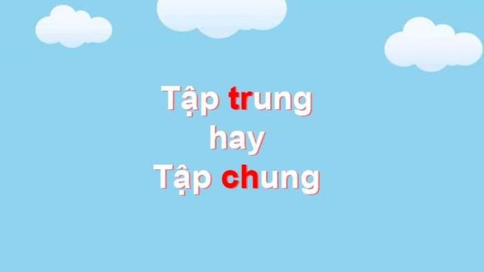 tap-chung-hay-tap-trung-1