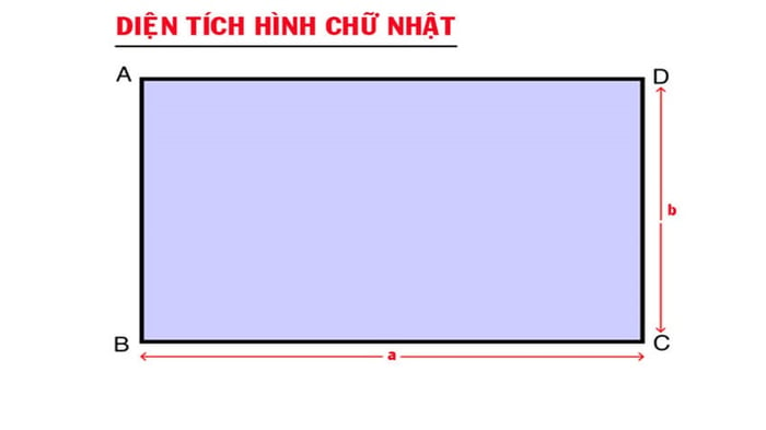 dien-tich-hinh-chu-nhat-3