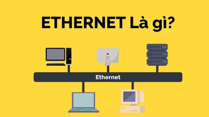 ethernet-la-gi-2