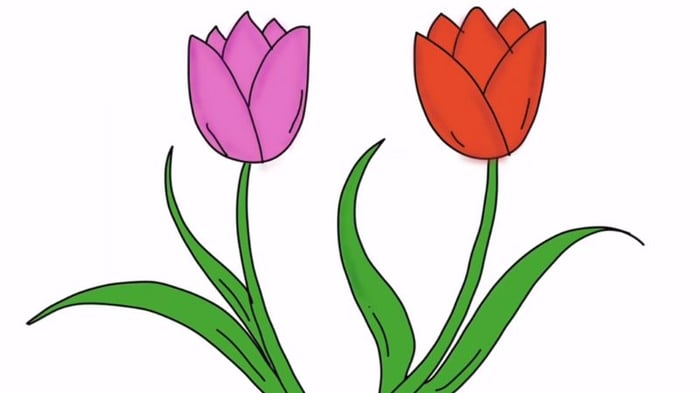 ve-hoa-tulip-3