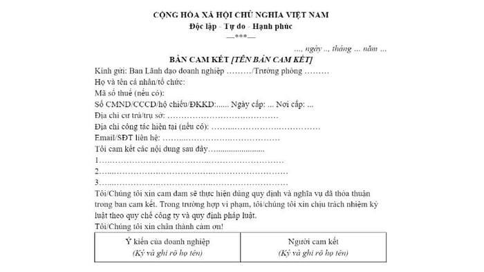 cach-viet-ban-cam-ket-8