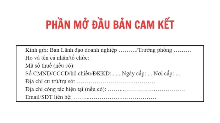 cach-viet-ban-cam-ket-5