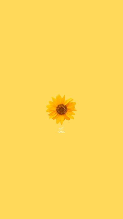 Ảnh nền iPhone_49