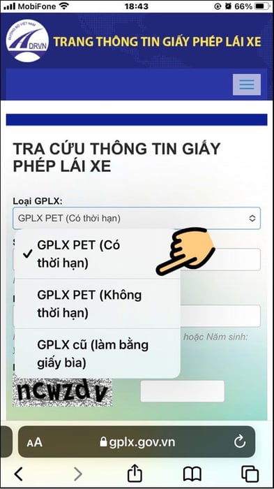 tra-cuu-giay-phep-lai-xe-4