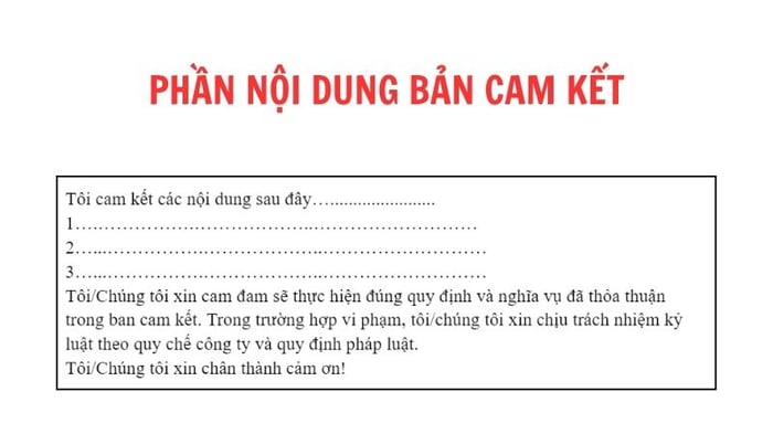 cach-viet-ban-cam-ket-6