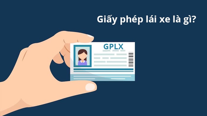 tra-cuu-giay-phep-lai-xe-1