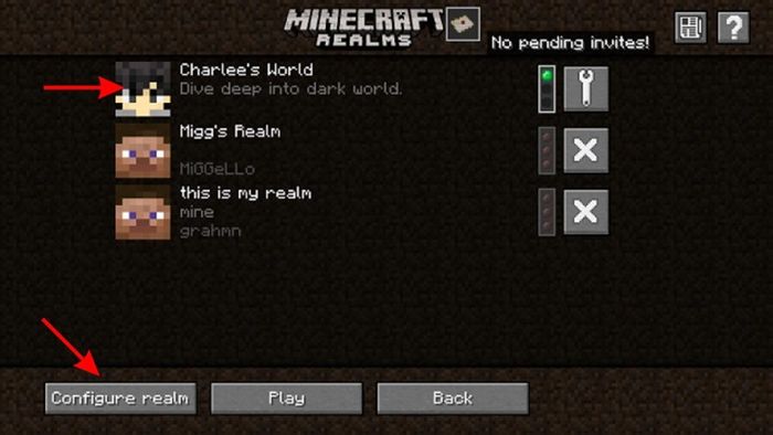 cach-choi-minecraft-17