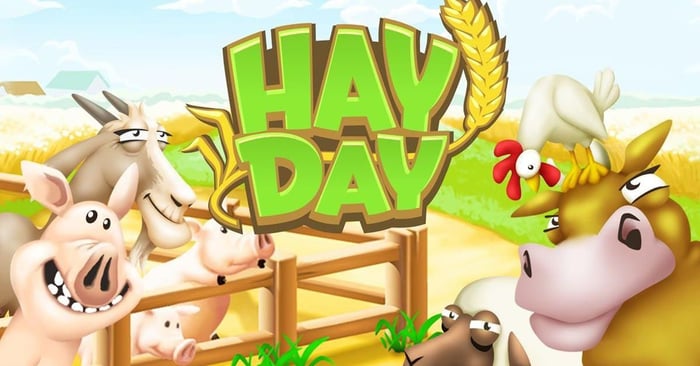 hay-day