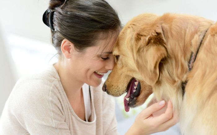 Tình cảm với thú cưng là rất thực tế, và có thể lớn đến mức khiến một số người khi mất thú cưng cảm thấy đau đớn không thể tả, thậm chí rơi vào trầm cảm - Ảnh: Dịch vụ chăm sóc thú cưng Union Lake