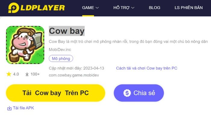 Cow-Bay-11