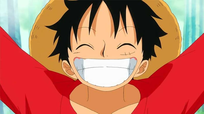 anh-luffy-69