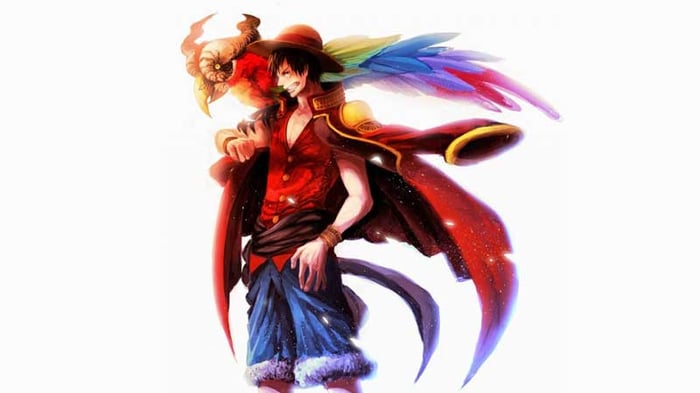 anh-luffy-70