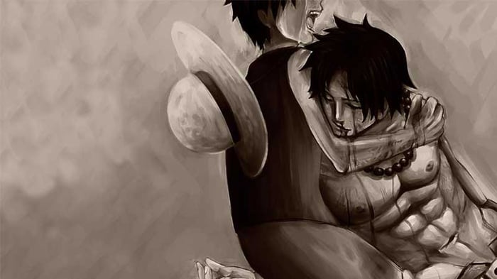 anh-luffy-66