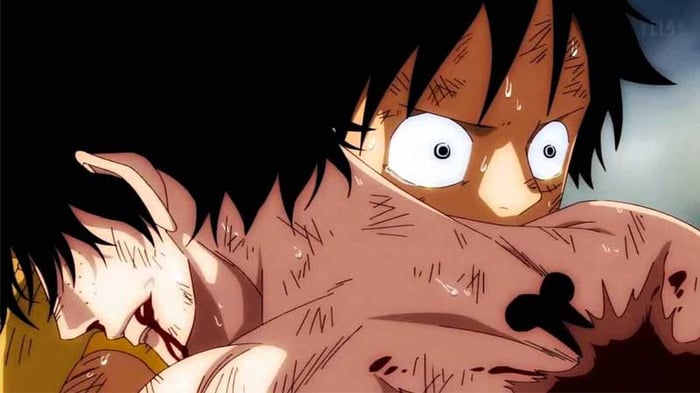 anh-luffy-68