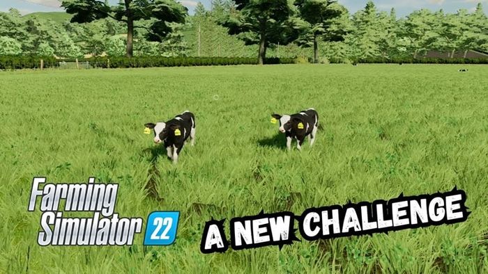 farming-simulator-22-8