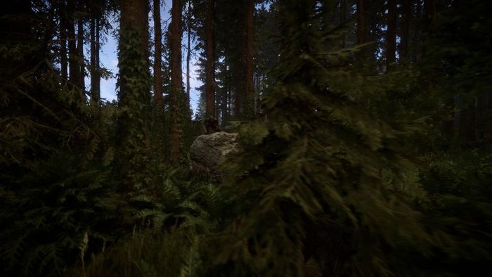 sons-of-the-forest-6