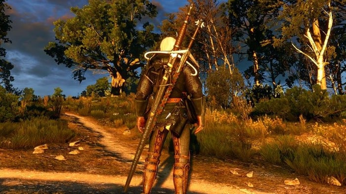 the-witcher-6