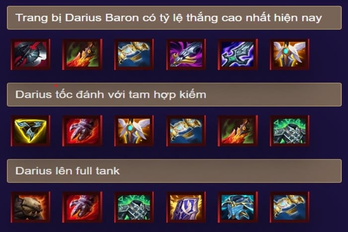 darius-toc-chien-8