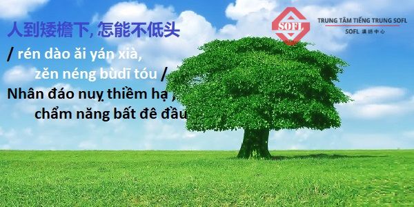 Thành ngữ về con người phải chấp nhận hoàn cảnh ép buộc