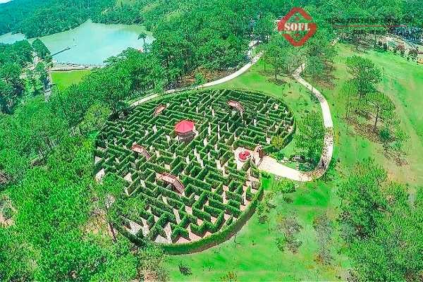 Romantic scenery in the Valley of Love in Dalat