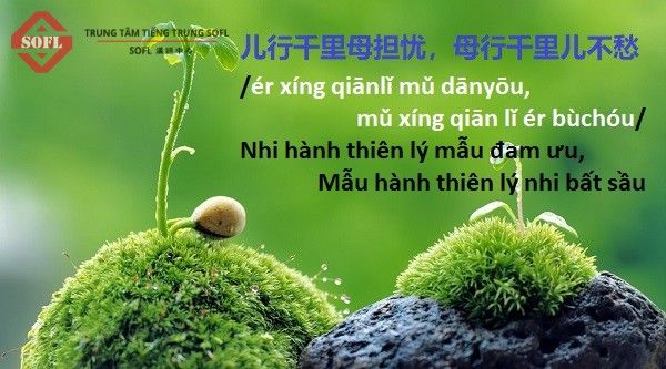 Thành ngữ nói về tấm lòng cha mẹ đối với con cái