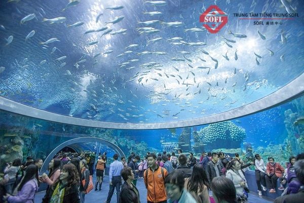 Visiting the ocean at the Oceanographic Institute in Nha Trang