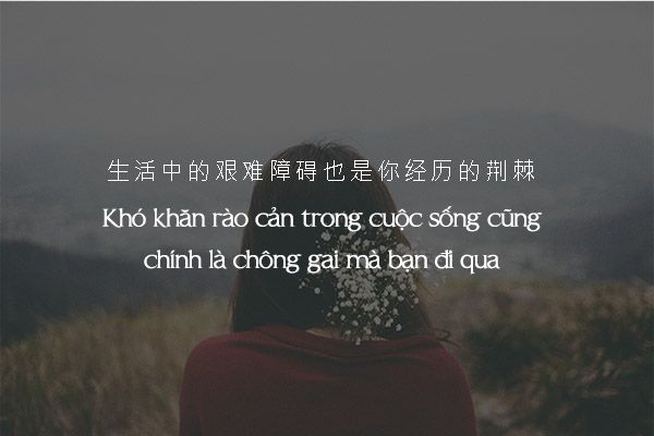 stt tiếng Trung về cuộc sống