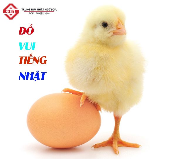 Đố vui bằng tiếng Nhật