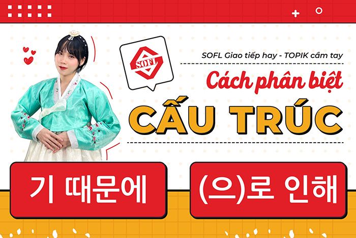 PHÂN BIỆT CẤU TRÚC 기 때문 và (으)로 gây ra