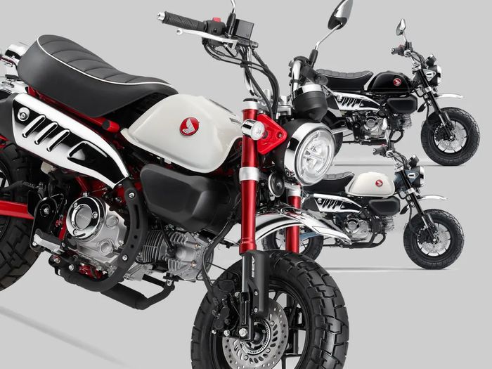 Honda Monkey 125 2025 ra mắt: 'Xe khỉ' thêm đặc trưng cho dân chơi, về Việt Nam khó dưới 200 triệu- Ảnh 1.