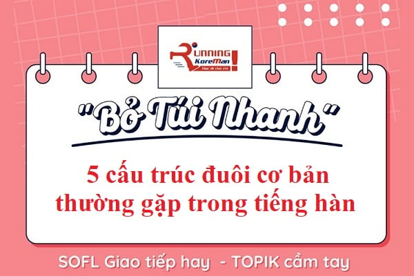 Ngữ pháp cơ bản tiếng Hàn - các đuôi câu