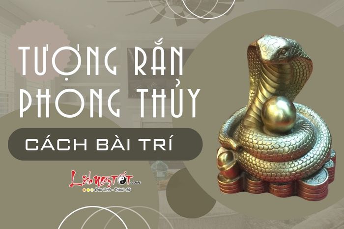 Cách đặt tượng Rắn phong thủy