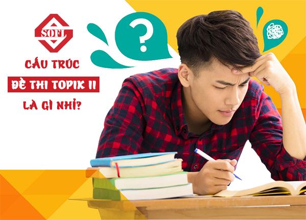 cấu trúc đề thi topik II