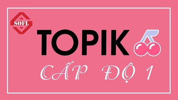 Topik cấp độ 1