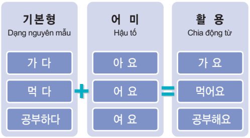 Kinh ngữ và động từ trong tiếng Hàn