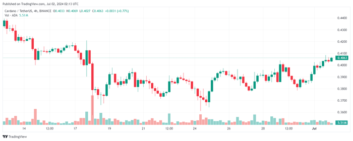 Cardano