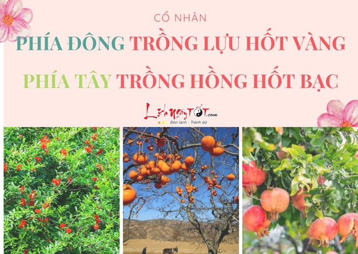 Phía Đông trong lựu hốt vàng, phía Tây trong hồng hốt bạc