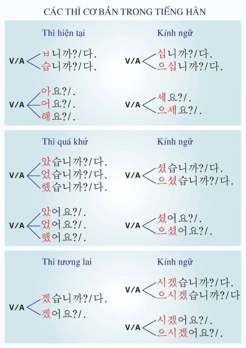 cấu trúc ngữ pháp tiếng Hàn