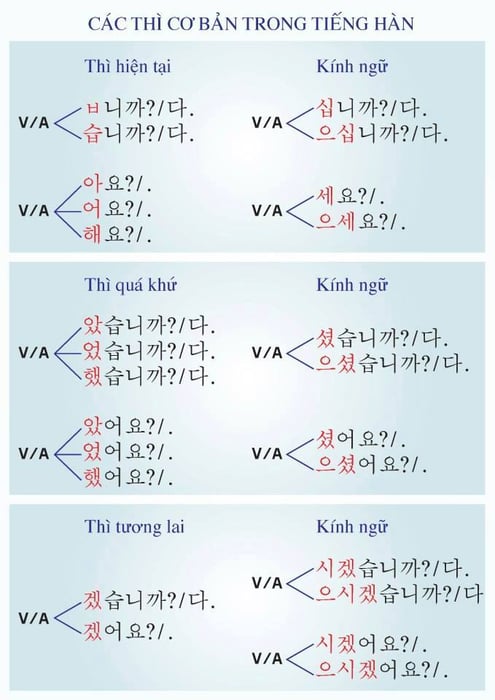 các từ động từ thông dụng trong tiếng hàn