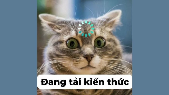 Bức ảnh meme cute 27