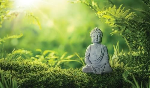 Con người dễ bị mê hoặc bởi lòng tham.