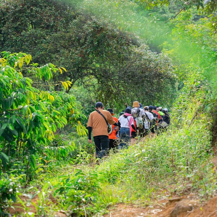 Trang phục phù hợp khi leo núi Đại Bình