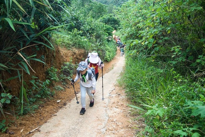 Khám phá núi Đại Bình bằng trekking