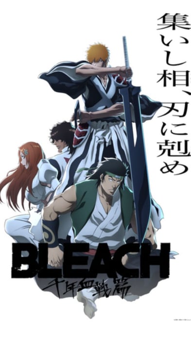 Bleach Visual