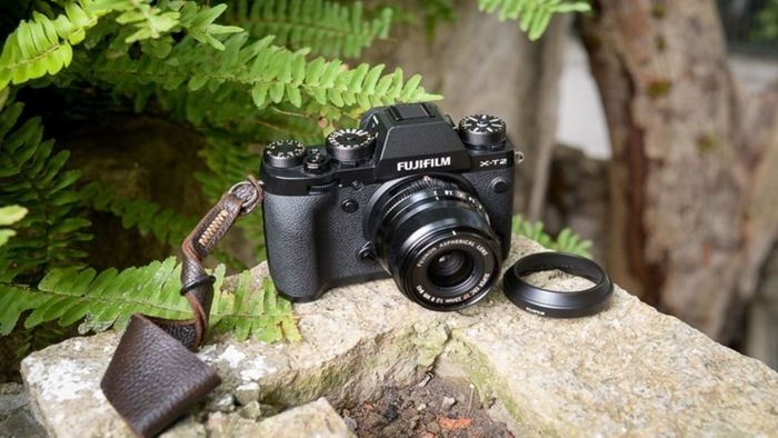 Máy ảnh mirrorless là gì?