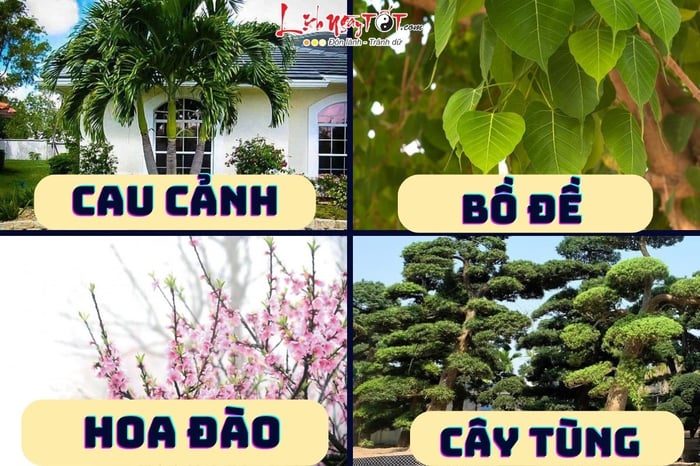 Top 10 cây trồng trước nhà để trừ tà đuổi ma