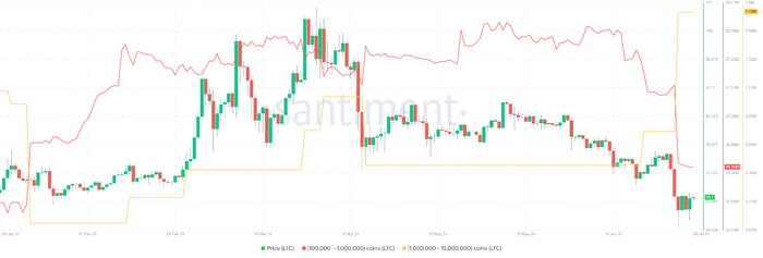 LTC 