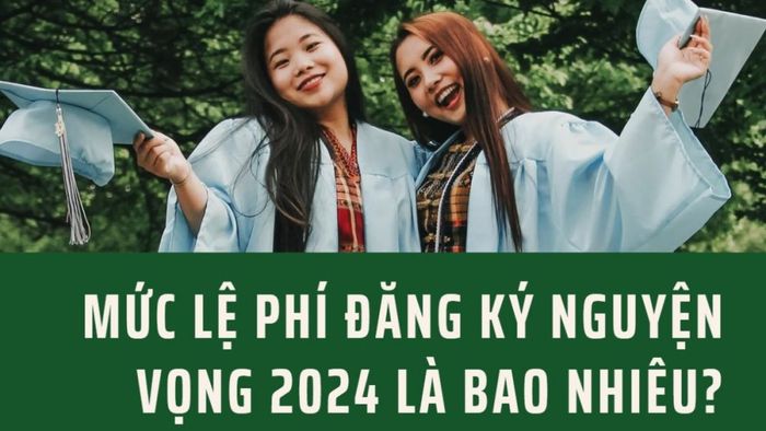 Chi phí đăng ký nguyện vọng đại học 2024