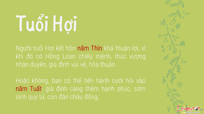 Lựa chọn năm kết hôn cho người tuổi Hợi